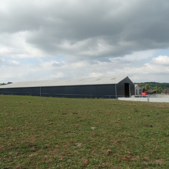 New cattle housing buildings