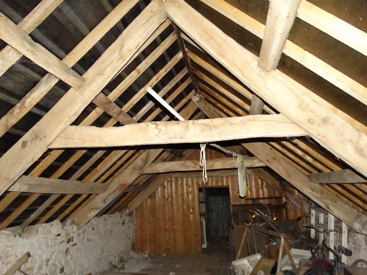 Bat Surveys South Wales